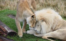 Tenikwa Wildlife Centre & Spa