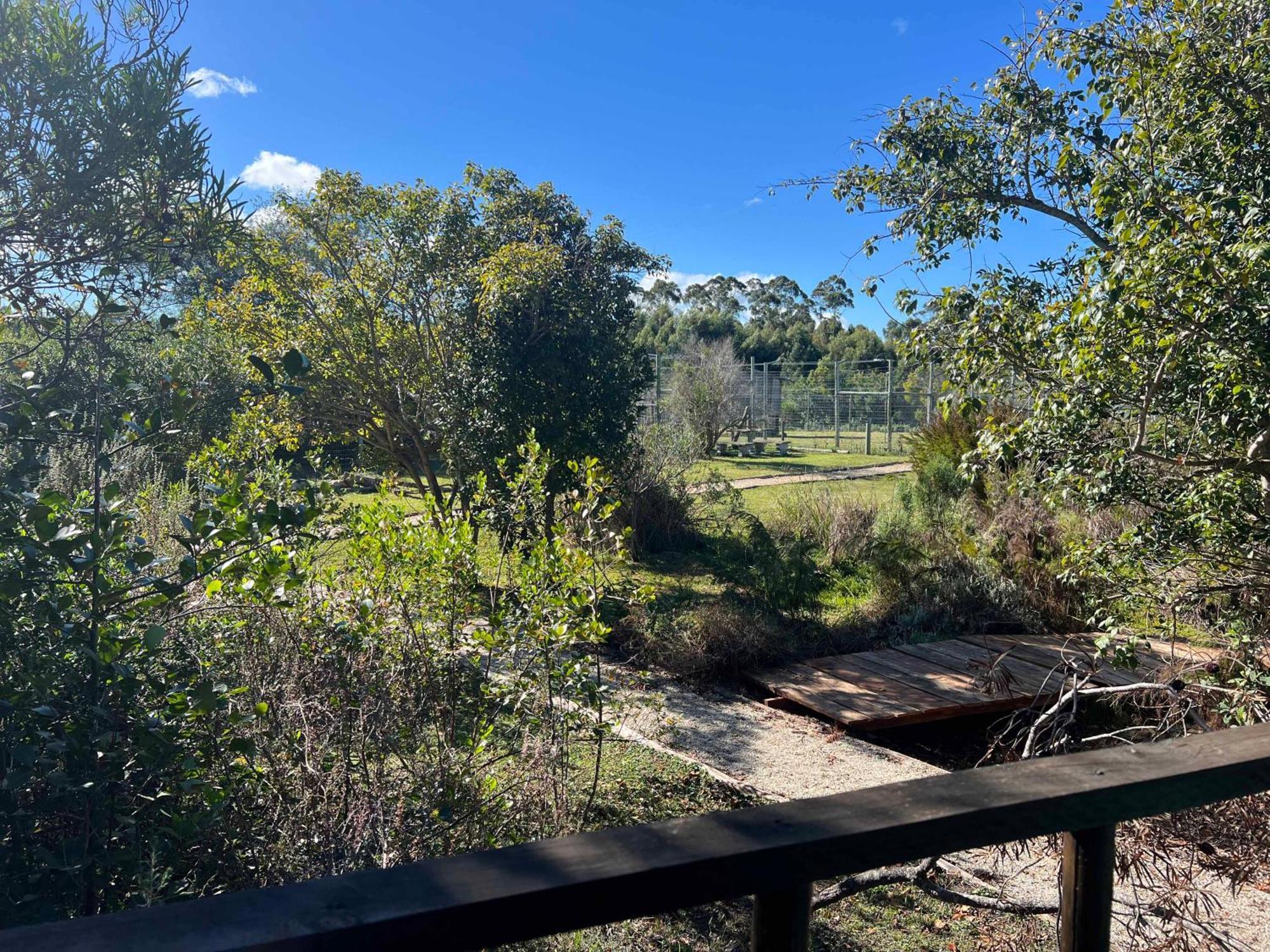 Tenikwa Wildlife Centre & Spa Plettenberg Bay Exterior foto